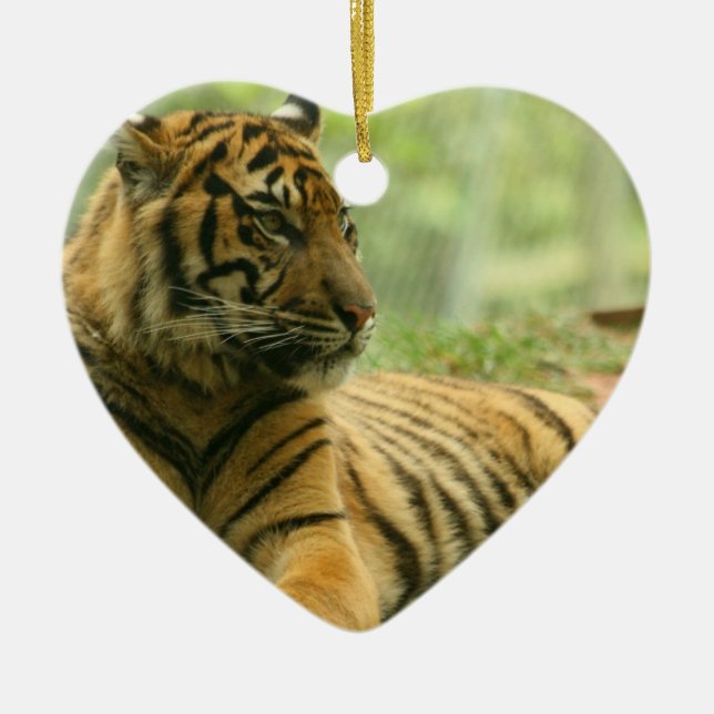 Vila tigerprydnaden julgransprydnad keramik (Framsidan)