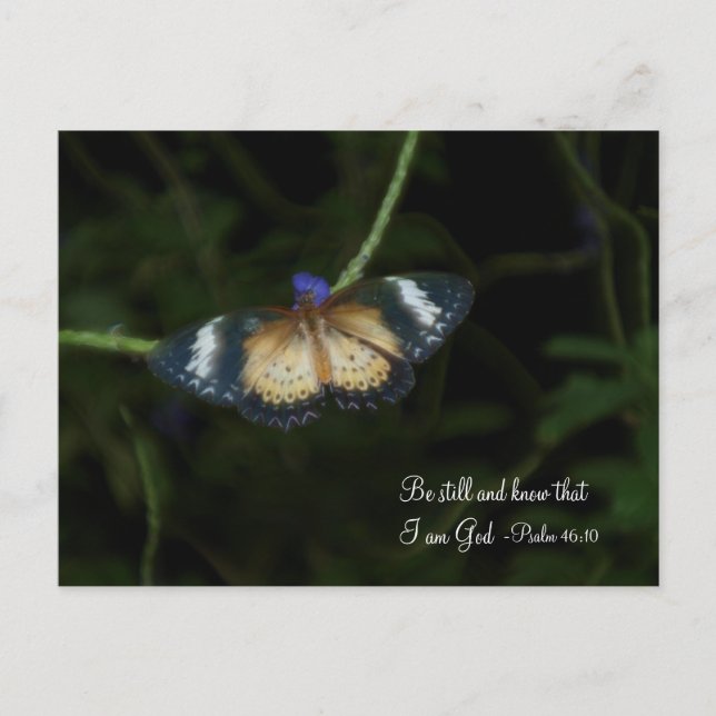 Vila vykort (Framsida)