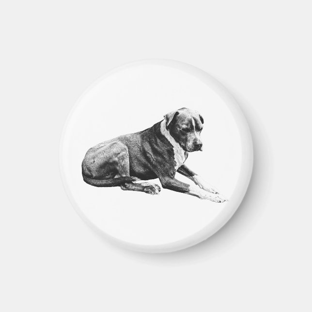 Vilafigur, lugn accent magnet (Framsidan)