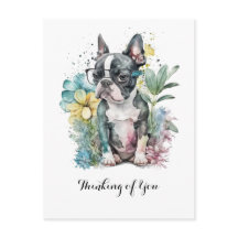 Vilande "Boston" Ansikte Boston Valp Glasögon Blom