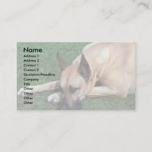 Vilande Great dane Visitkort
