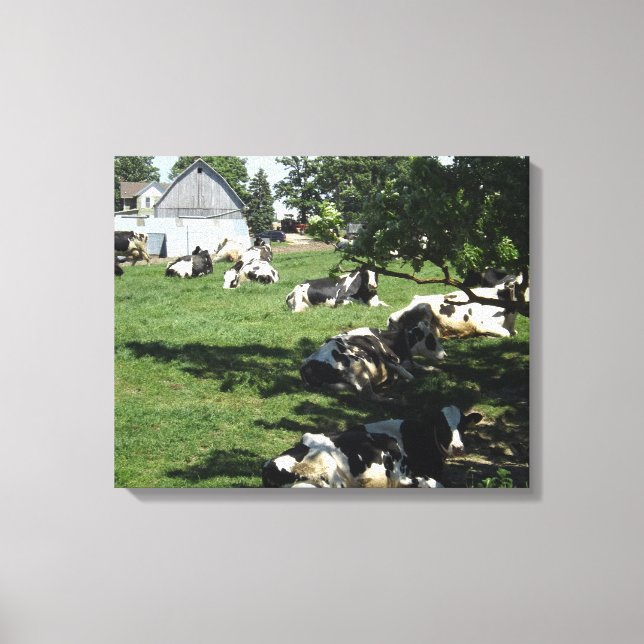 Vilande kor på gården inslagna canvas konst (Framsida)