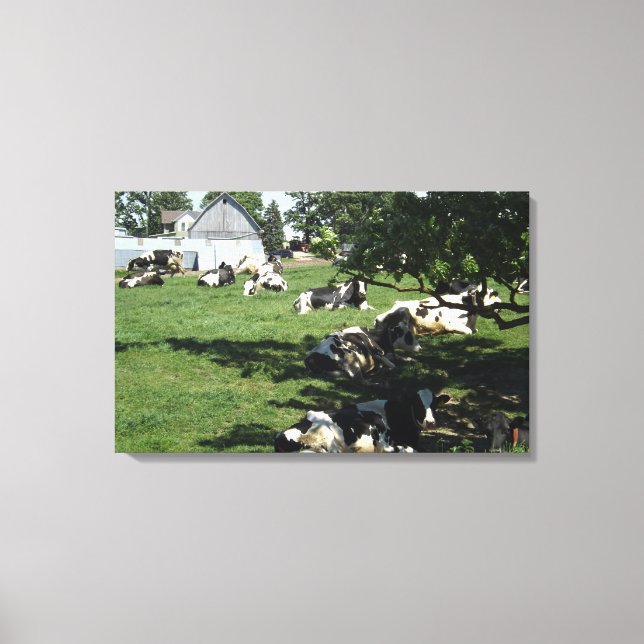 Vilande kor på gården inslagna canvas konst (Framsida)