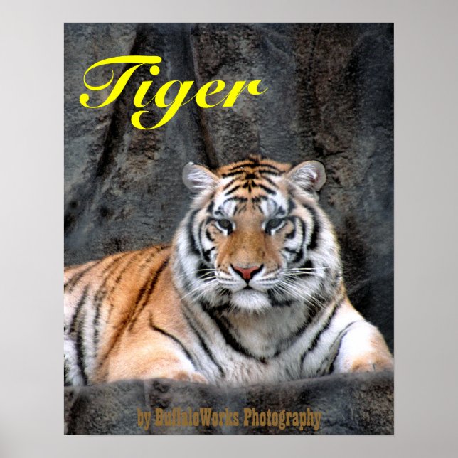 Vilande Tiger Affisch (Framsidan)