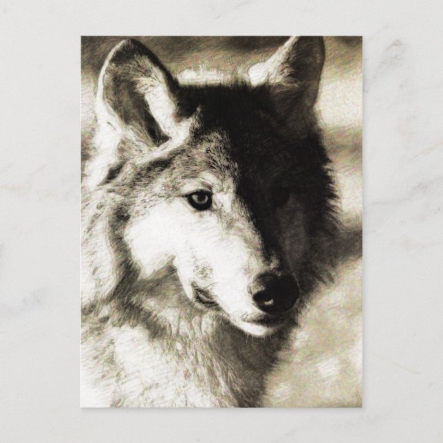 Vild 19 vykort (Framsida)