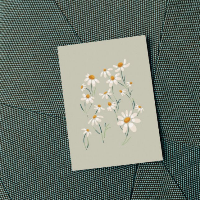 Vild Aesthetic Chamomile Chamomile Delicate Flower (Skapare uppladdad)