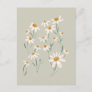 Vild Aesthetic Chamomile Chamomile Delicate Flower Helg Vykort