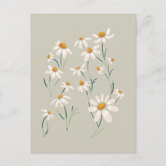 Vild Aesthetic Chamomile Chamomile Delicate Flower Helg Vykort (Framsida)