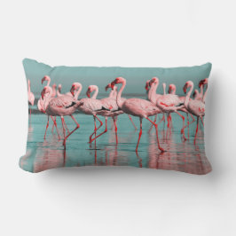Vild African flamingos Lumbarkudde