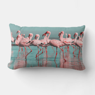 Vild African flamingos Lumbarkudde