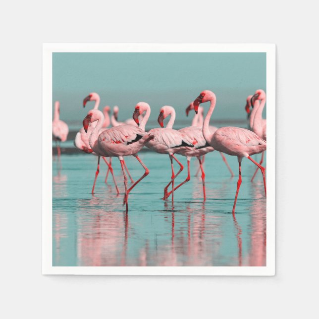 Vild African flamingos Pappersservett (Framsidan)