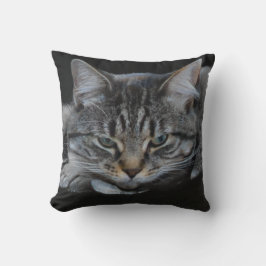 Vild african tiger cat bild, cat lover kudde