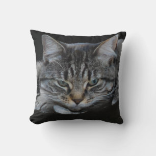 Vild african tiger cat bild, cat lover kudde