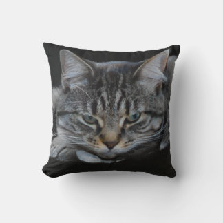 Vild african tiger cat bild, cat lover kudde