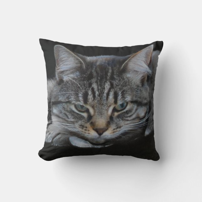Vild african tiger cat bild, cat lover kudde (Framsida)