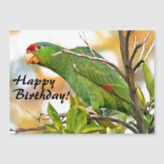 Vild Amazon Parrot Bird Magnetic Birthday Card