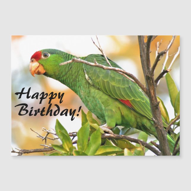 Vild Amazon Parrot Bird Magnetic Birthday Card (Framsida)