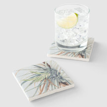 Vild Ananas | Poster av Mary Vaux Walcott 1921