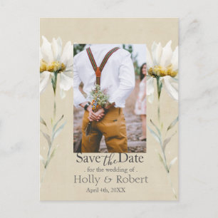 Vild Ängsblomma Kraft Spara Datum Foto Vykort