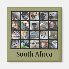 Vild Animal Ansikte - Däggdjur, reptiler, fåglar Magnet