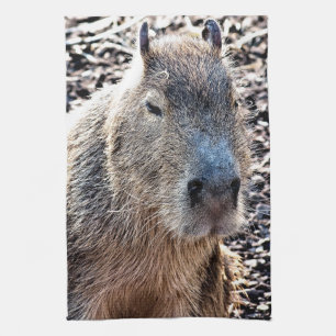 VILD ANIMAL CAPYBARA KÖKSHANDDUK
