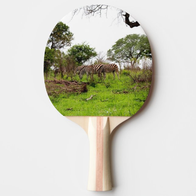 Vild Animaliska Zebra-djur Pingisracket (Framsidan)