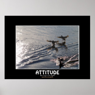 Vild Anka ATTITUDE Motivation Nature Photo Print Poster