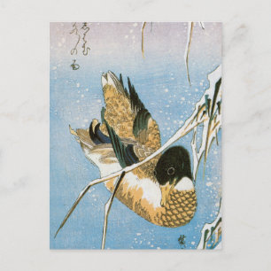 Vild Anka Swimming Snö Laden Reeds by Hiroshige Vykort