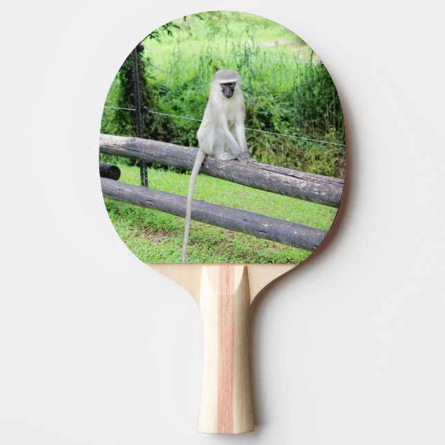 Vild Apdjur Pingisracket (Framsidan)