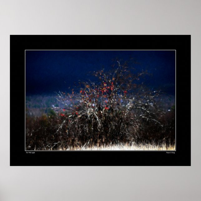 Vild Apple Poster (Framsidan)