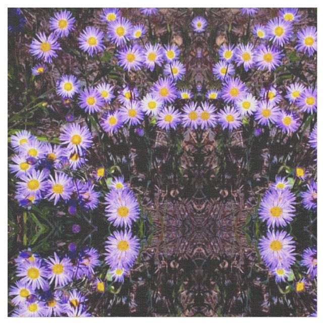 Vild Asters Tyg (Närbild)
