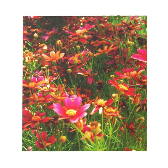 Vild av Daisy för Bright rosa och gult Anteckningsblock (Framsida)