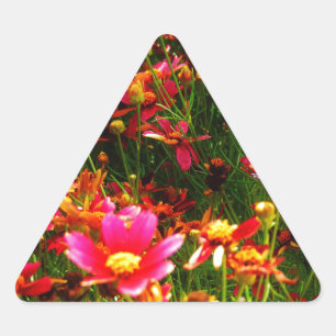 Vild av Daisy för Bright rosa och gult Triangelformat Klistermärke