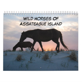 Vild av kalender för assateague Island