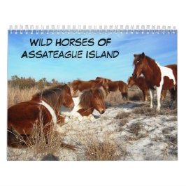 Vild av kalender för assateague Island