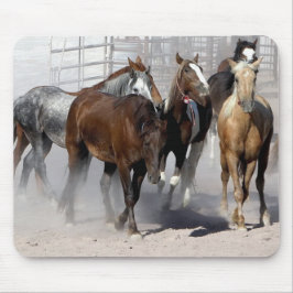 Vild av musslor av Nevada Musmatta