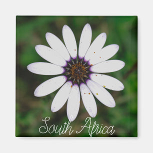 Vild av sydAfrikan väster Flower ZA Magnet
