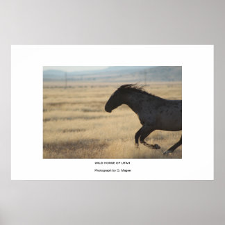 Vild AV UTAH FOTOGRAPH Poster