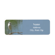 Vild av White Egret Photo Fågelskådare Bird Lakesi