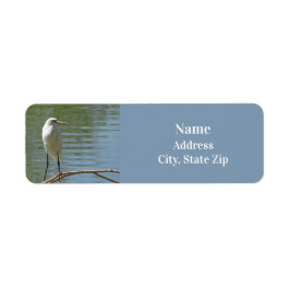 Vild av White Egret Photo Fågelskådare Bird Lakesi Returadress Etikett