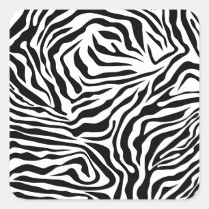 vild av zebra ränder, svart och vit fyrkantigt klistermärke