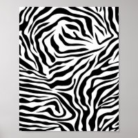 Vild av zebra ränder, svart och vit