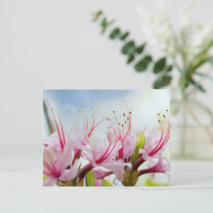 Vild Azalea Blommar Inbjudan Vykort