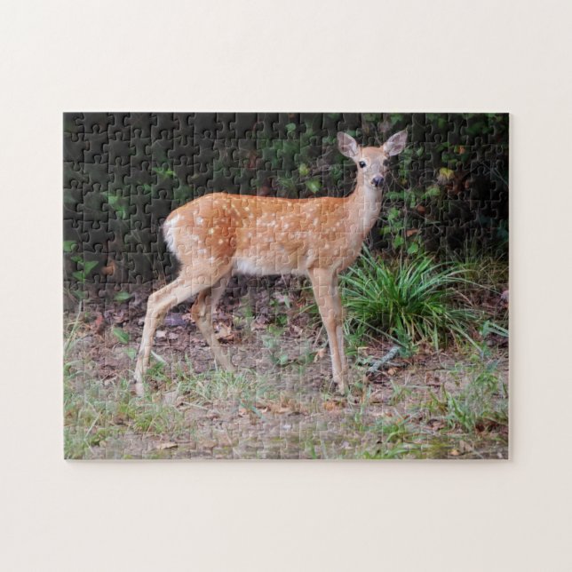 Vild Baby Hjort Natur - Pussel för fawn Puzzle (Horisontell)