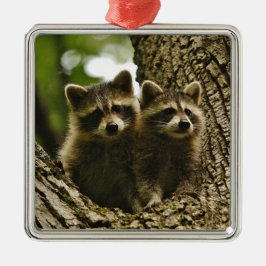 Vild Baby Raccoons Photo Julgransprydnad Metall