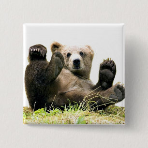 Vild Bears Knapp