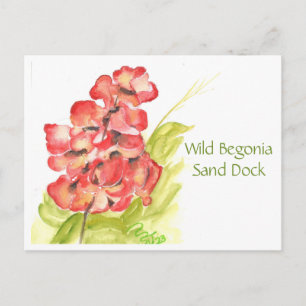 Vild Begonia vykort