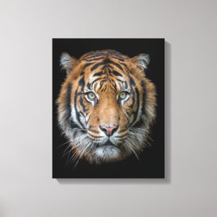 Vild Bengal Tiger ansikte Canvastryck