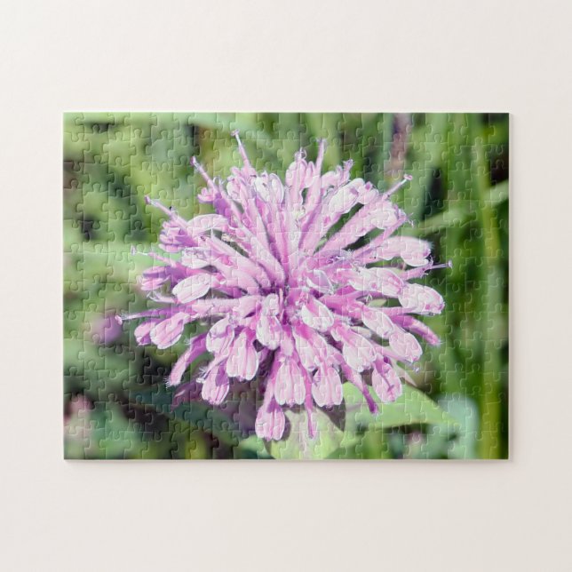 Vild Beramot - (Rosa Bee Balm) Pussel (Horisontell)