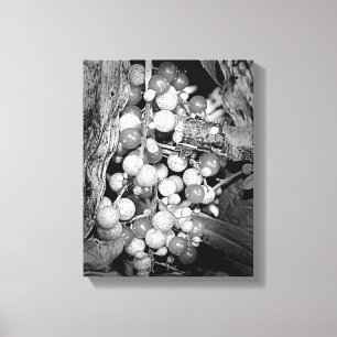 Vild Berries Black and White Canvastryck